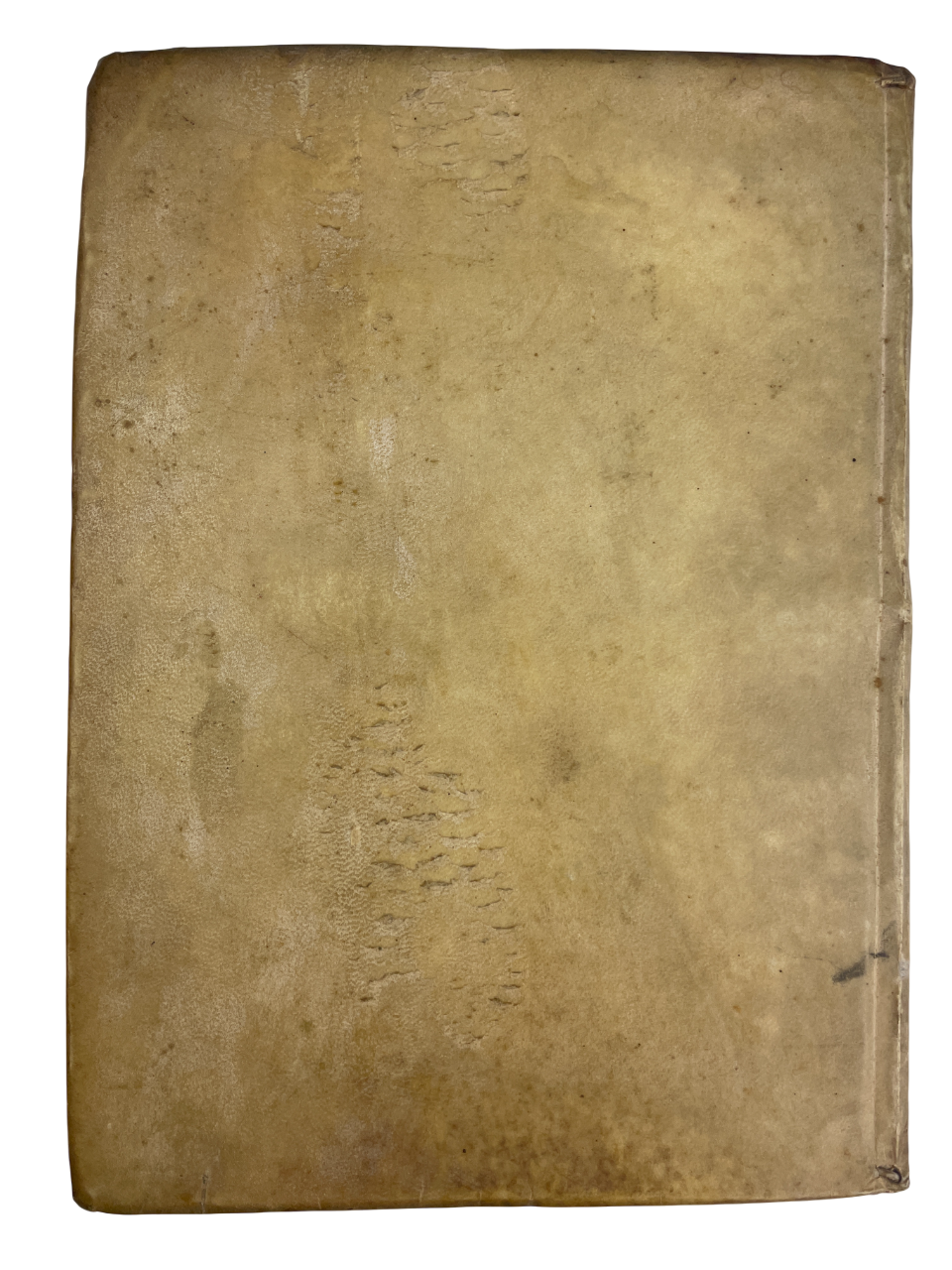 First edition 1655 Tractatus De Pileo Theophile Raynaud Petrus de Maridat Jesuit theology treatise hats headgear mitres cardinal hats Jewish rabbi caps royal French crowns female headdresses sacred secular ceremonial headwear ritual material culture 17th century historical study religious social symbolism antiquarian rare book collectible