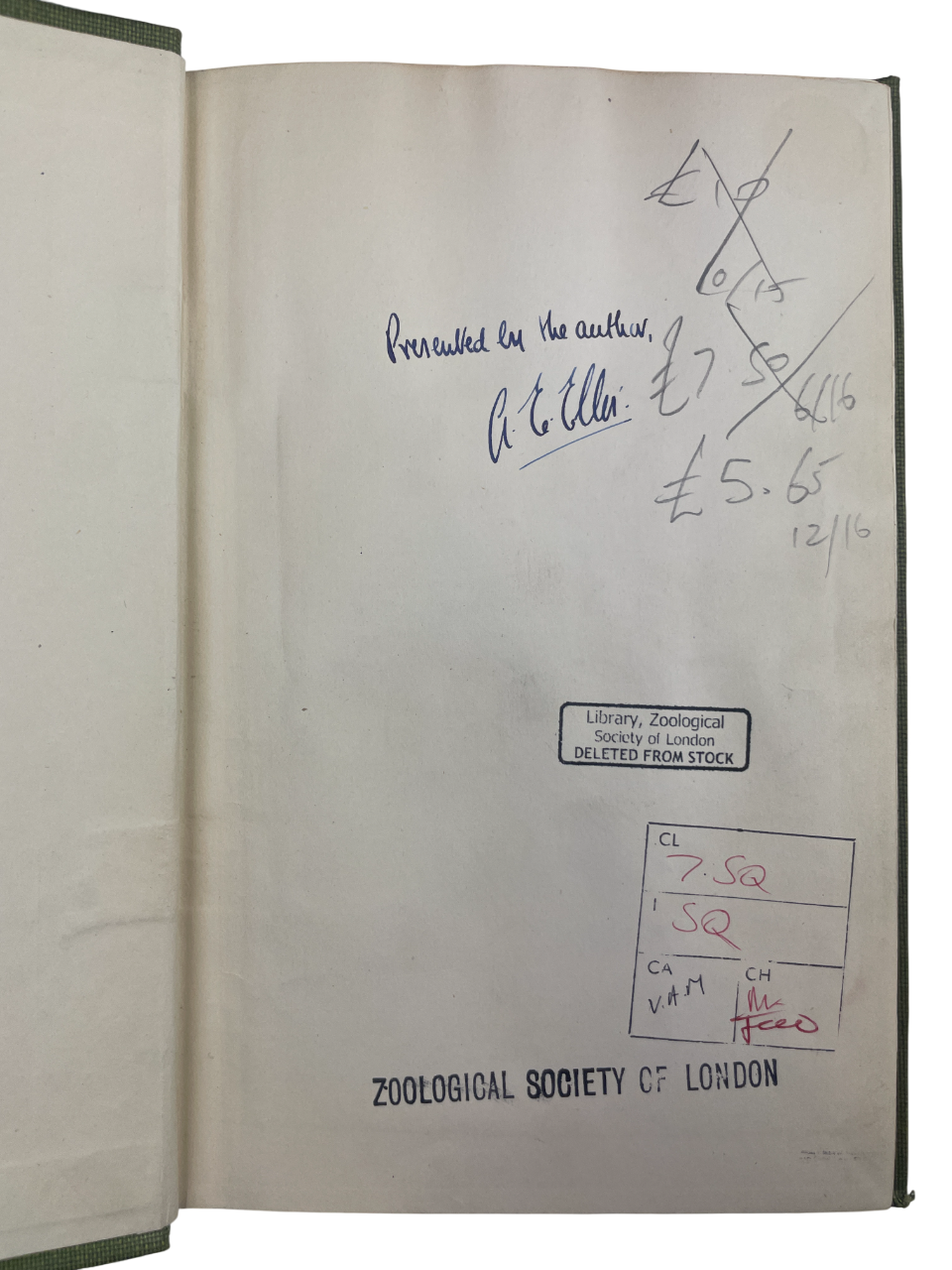 Freshwater Bivalves by Arthur Erskine Ellis, c.1947. Rare, possibly unique, author-inscribed (“Presented by the author, A. E. Ellis”), lacking title and copyright pages. Includes Unionacea, Corbicula, Sphaerium, Dreissena, Pisidium, with photographic plates, diagrams, and text figures for identification. Key antique natural history book, malacology reference, British mollusks, zoological study, scientific monograph, collectible first edition, rare biology book, academic reference, illustrated taxonomy, rese