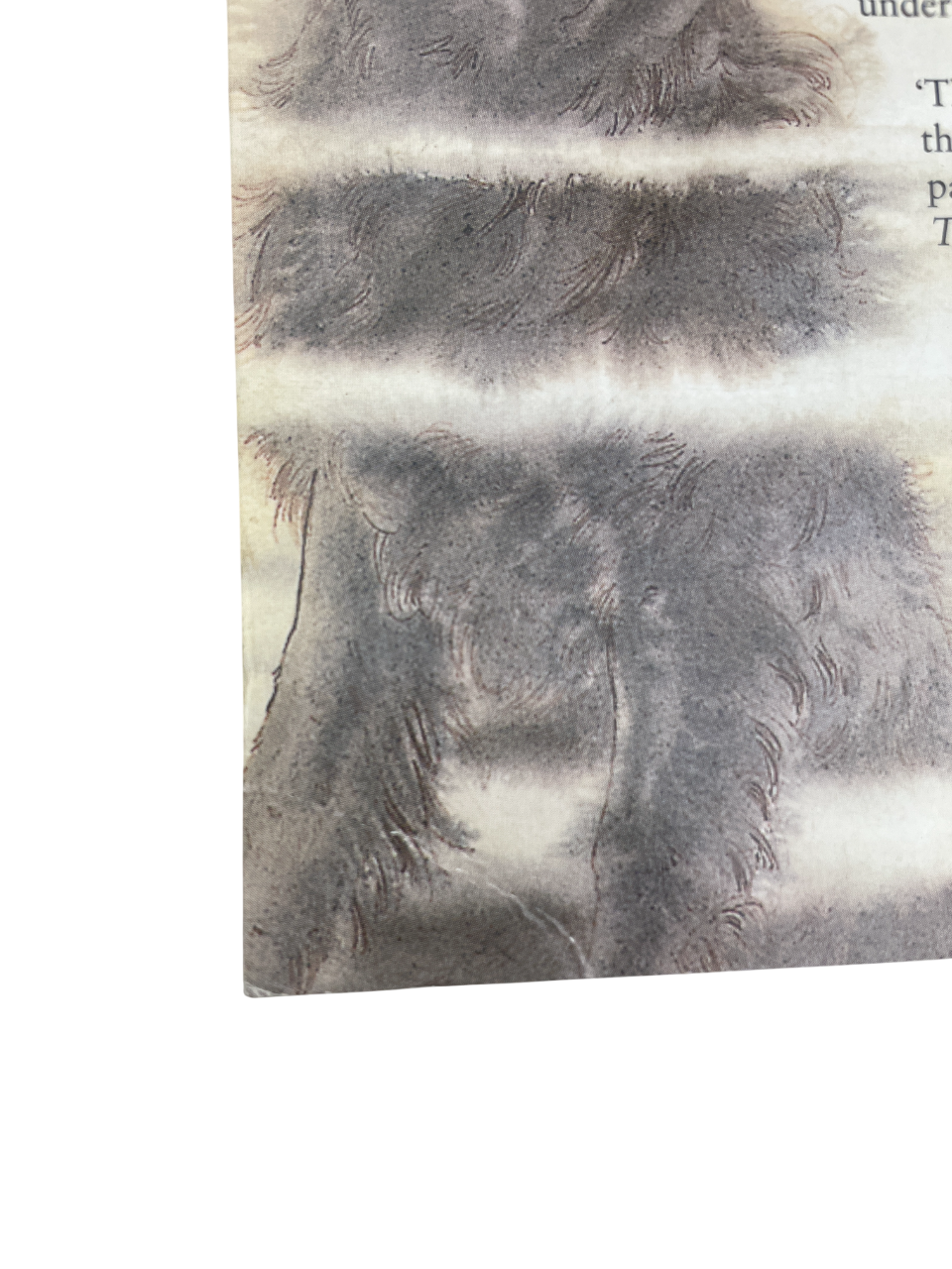 Harry Potter Celebration Issues first edition first printing Bloomsbury 2001 2004 collectible Harry Potter books rare early editions J.K. Rowling special Celebration Editions set trio UK Bloomsbury covers high-resolution images collectible Potter memorabilia vintage Harry Potter collection rare fantasy books investment copy