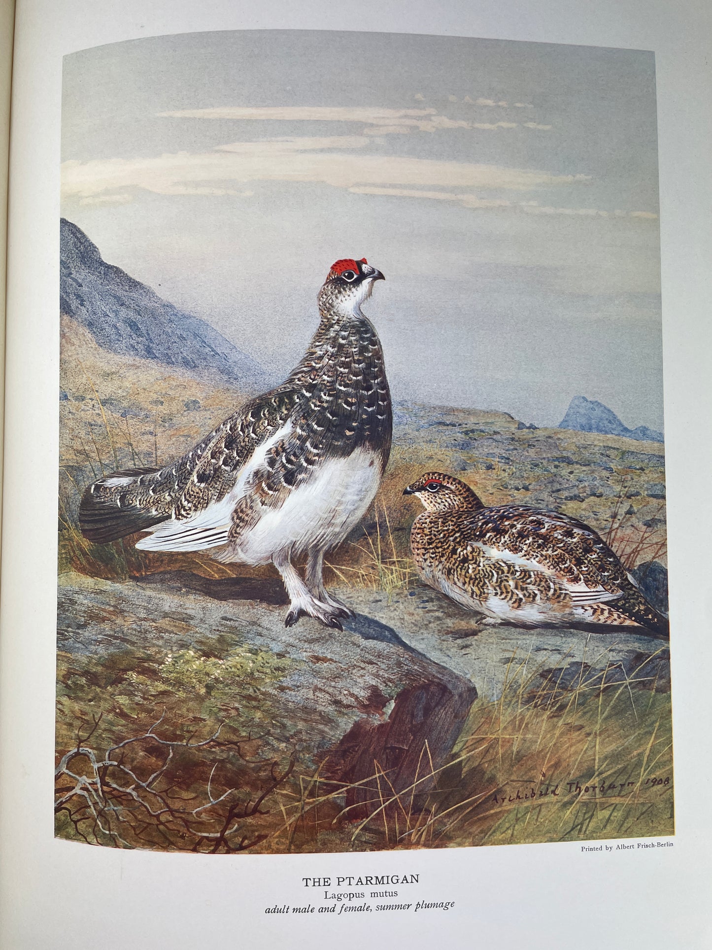 J.G. Millais - The Natural History of British Game Birds - 1909 (Limited, #239/550)