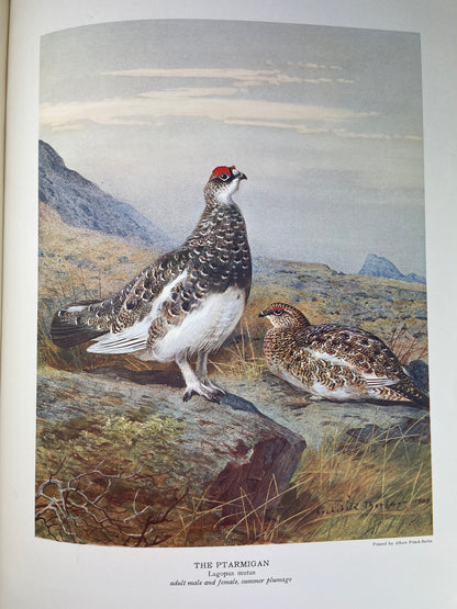 J.G. Millais - The Natural History of British Game Birds - 1909 (Limited, #239/550)