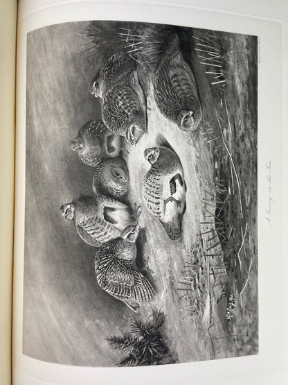 J.G. Millais - The Natural History of British Game Birds - 1909 (Limited, #239/550)