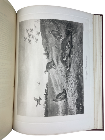 J.G. Millais - The Natural History of British Game Birds - 1909 (Limited, #239/550)