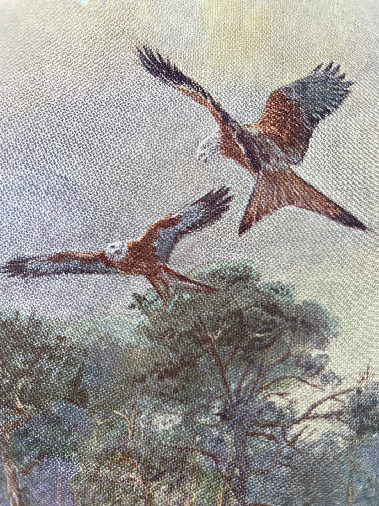 H.E. Dresser - A Manual of Palaearctic Birds - 1902