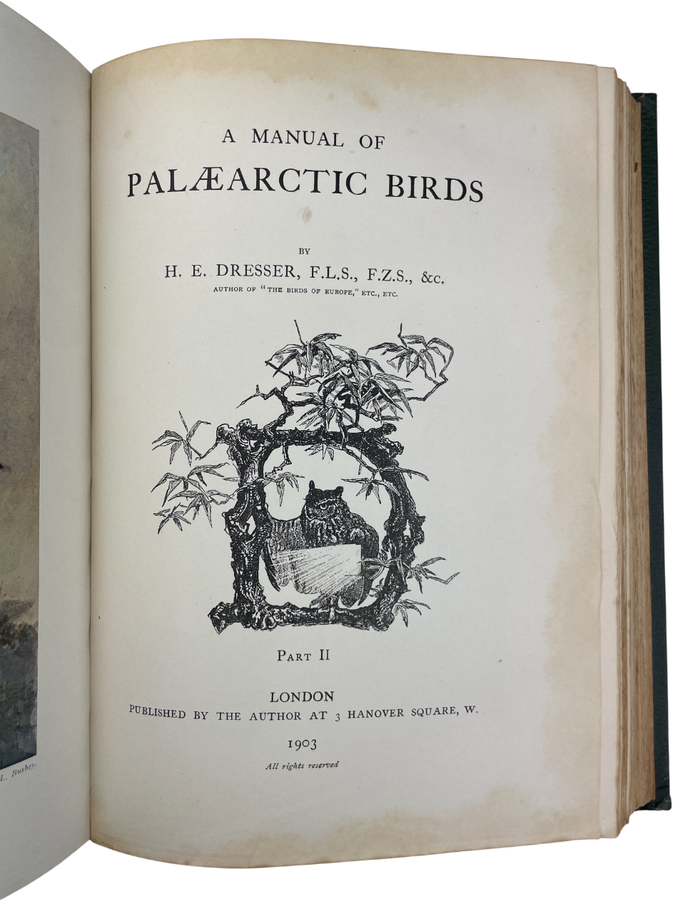 H.E. Dresser - A Manual of Palaearctic Birds - 1902