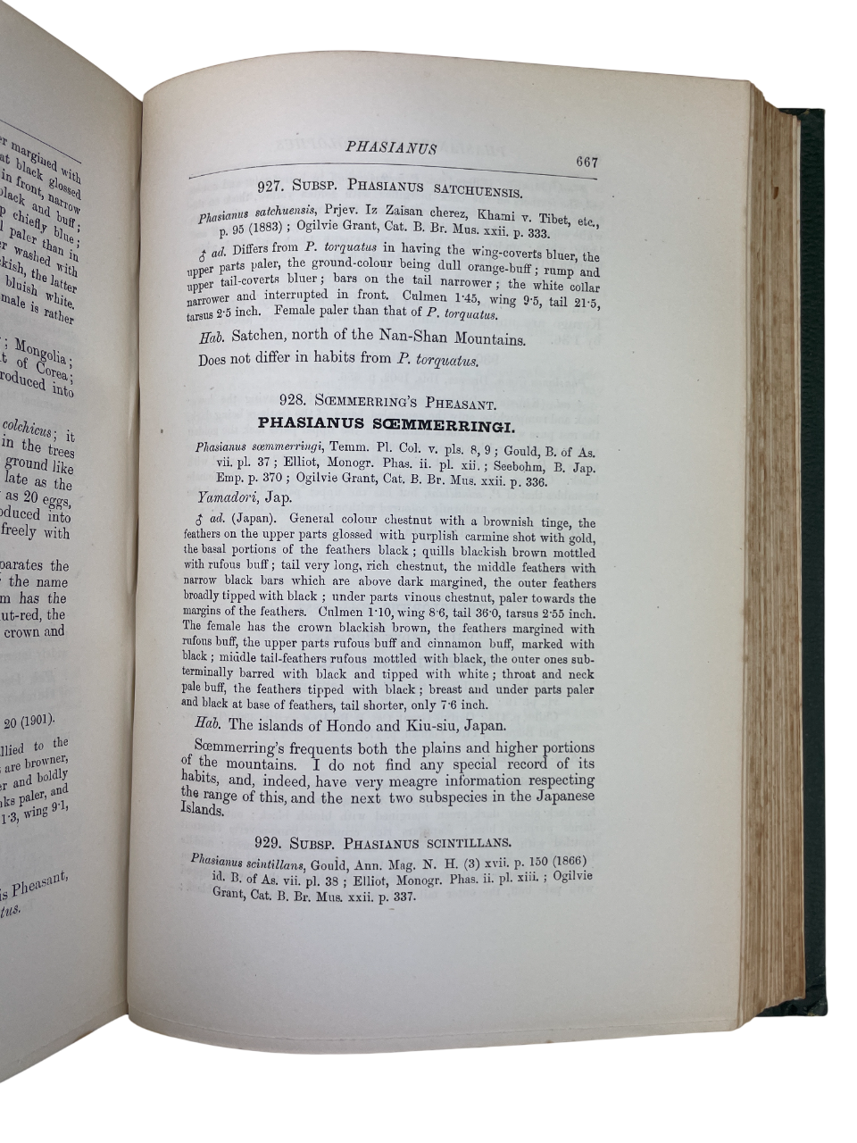 H.E. Dresser - A Manual of Palaearctic Birds - 1902