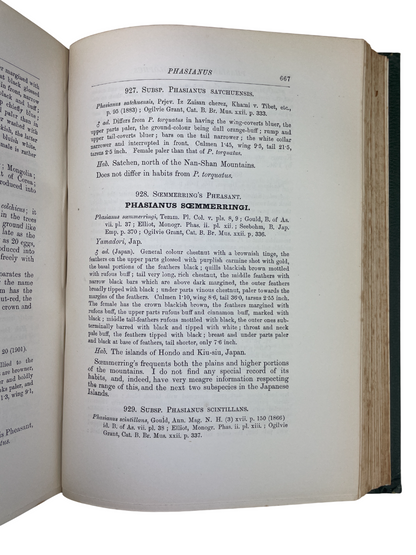H.E. Dresser - A Manual of Palaearctic Birds - 1902