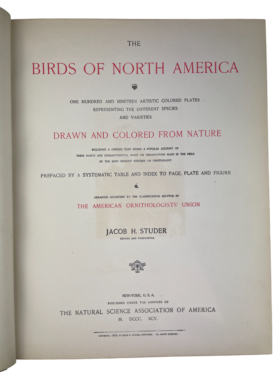 Jacob H. Studer - The Birds of North America - 1895