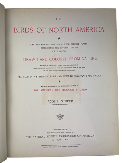 Jacob H. Studer - The Birds of North America - 1895