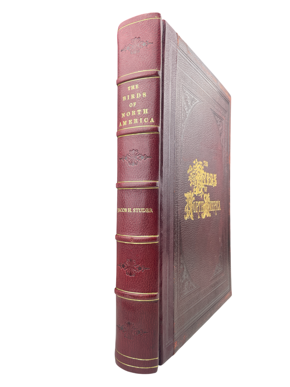 Jacob H. Studer - The Birds of North America - 1895