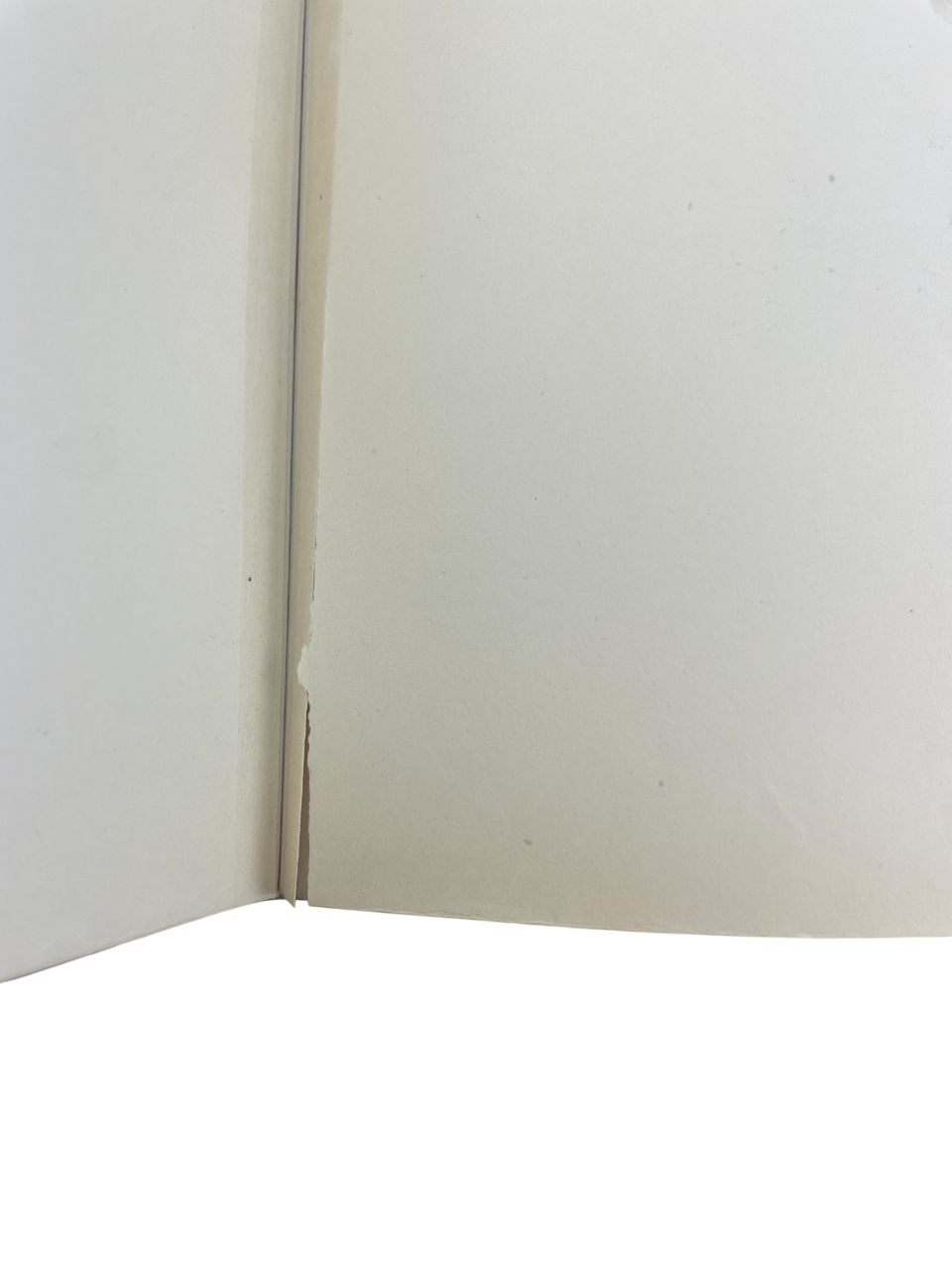 The Pictorial Arts of Japan 1886 William Anderson signed Artist’s Proof no. 20 rare limited edition Japanese art folio Meiji era Japanese visual culture 80 plates color monochrome illustration William Anderson art history British Museum Japanese collection Sampson Low London signed folio rare collectible early Western scholarship Japanese art study Professor Anatomy Tokyo Imperial Naval Medical College Meiji Japan Japanese prints paintings drawings Japanese artistic traditions rare book folio collector edit