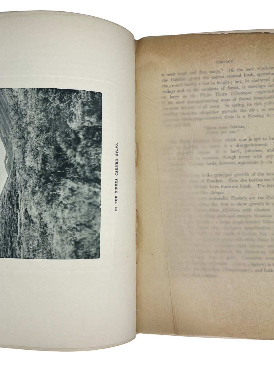  Rare antique ornithology book The Birds of Tierra del Fuego by Richard Crawshay, 1907 first edition limited to 300 copies, published by Bernard Quaritch London. Early 20th century natural history collectible with 21 hand-coloured lithographed bird plates, 23 photogravure landscape views, wood-engraved dedication, and colour map. Bound for the Zoological Society of London. Classic rare book of South American birds, Tierra del Fuego expedition 1904, featuring detailed species descriptions, plumage, habitat n