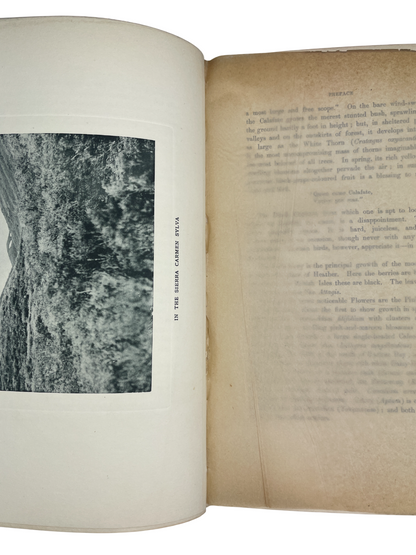  Rare antique ornithology book The Birds of Tierra del Fuego by Richard Crawshay, 1907 first edition limited to 300 copies, published by Bernard Quaritch London. Early 20th century natural history collectible with 21 hand-coloured lithographed bird plates, 23 photogravure landscape views, wood-engraved dedication, and colour map. Bound for the Zoological Society of London. Classic rare book of South American birds, Tierra del Fuego expedition 1904, featuring detailed species descriptions, plumage, habitat n