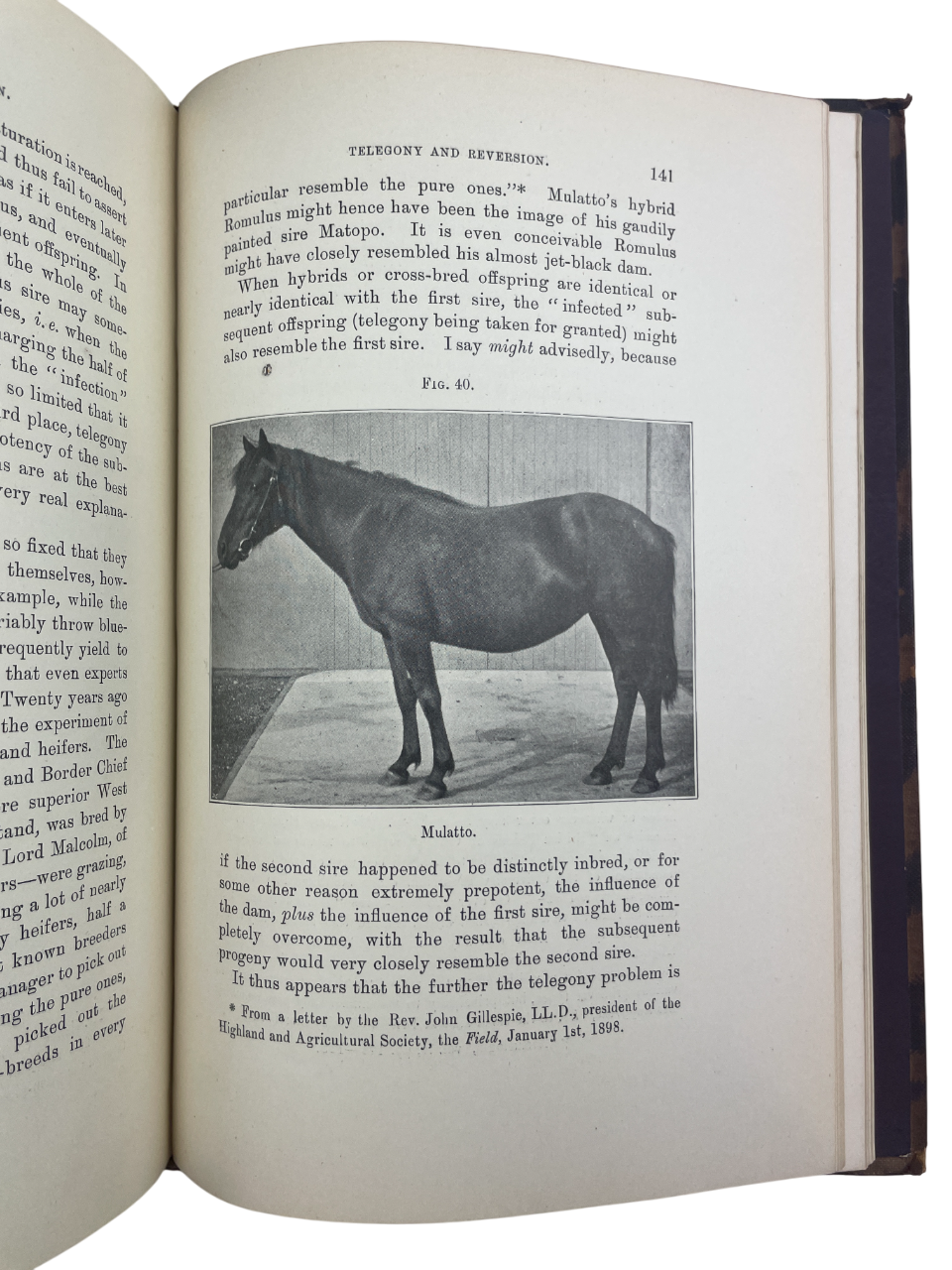 1899 edition of The Penycuik Experiments by James Cossar Ewart, pioneering experimental genetics and hybridization. Documents zebra–horse crosses testing telegony, hybrid vigor, inbreeding, and prepotency. Includes inscription “Margaret Ewart” (1915), suggesting family provenance. Essential for collectors of genetics history, experimental zoology, and Edinburgh scientific heritage
