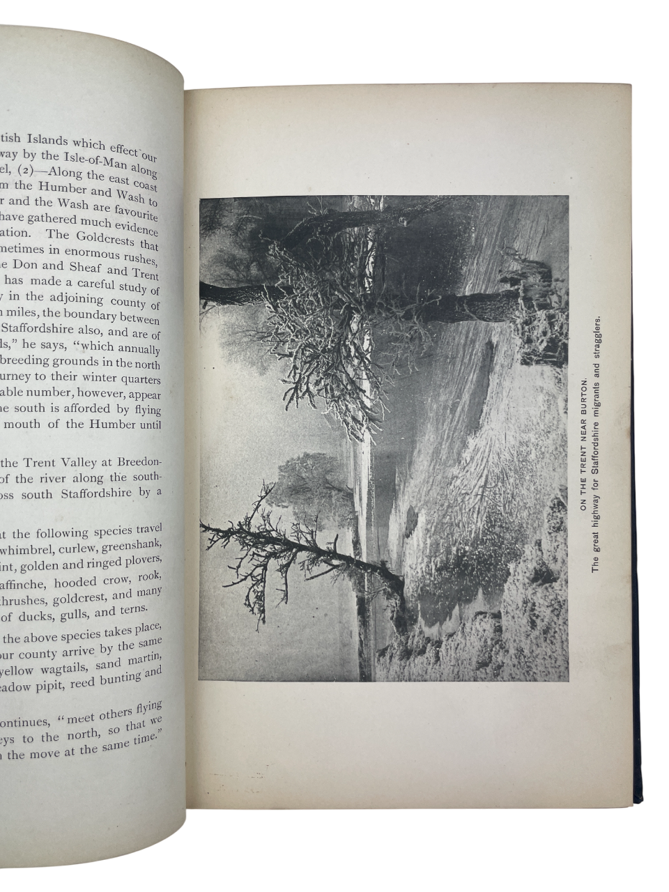The Birds of Staffordshire with Illustrations of Local Bird Haunts. Privately printed first edition book, limited to 100 copies, intended to foster interest in Staffordshire bird life and discourage the destruction of local species. Authored by Alexander Morison McAldowie FRSE (1852–1926) - a Scottish physician, folklorist, and ornithologist known for his contributions to natural history and the North Staffordshire Field Club, where he was awarded the Garner Medal in 1900. This copy is unnumbered and unsign