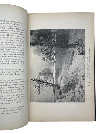 The Birds of Staffordshire with Illustrations of Local Bird Haunts. Privately printed first edition book, limited to 100 copies, intended to foster interest in Staffordshire bird life and discourage the destruction of local species. Authored by Alexander Morison McAldowie FRSE (1852–1926) - a Scottish physician, folklorist, and ornithologist known for his contributions to natural history and the North Staffordshire Field Club, where he was awarded the Garner Medal in 1900. This copy is unnumbered and unsign