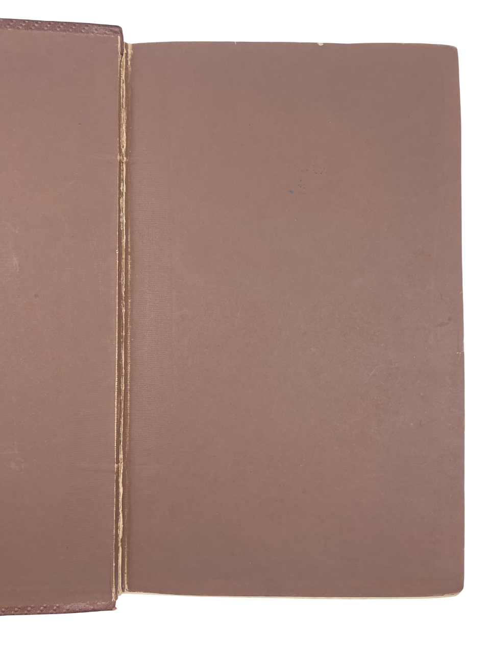 The Natural History of Tutbury, together with the Fauna and Flora of the District Surrounding Tutbury and Burton-on-Trent by Edwin Brown book First edition, signed, presentation inscription from the author on the half-title. This beautifully illustrated guide explores the natural history of Tutbury, England, detailing its local flora, fauna, and geological features. Complete with all illustrations. 