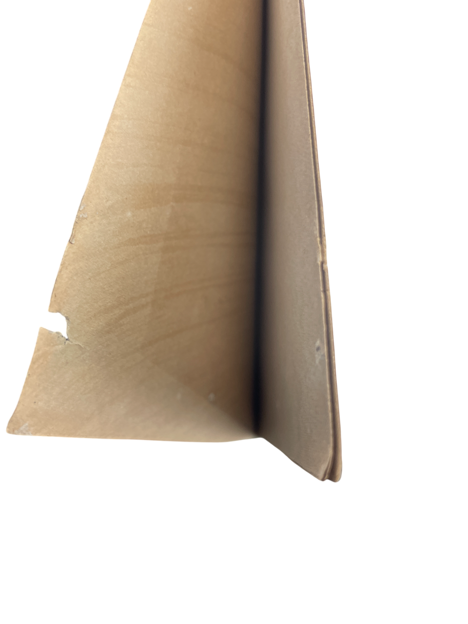 The Pictorial Arts of Japan 1886 William Anderson signed Artist’s Proof no. 20 rare limited edition Japanese art folio Meiji era Japanese visual culture 80 plates color monochrome illustration William Anderson art history British Museum Japanese collection Sampson Low London signed folio rare collectible early Western scholarship Japanese art study Professor Anatomy Tokyo Imperial Naval Medical College Meiji Japan Japanese prints paintings drawings Japanese artistic traditions rare book folio collector edit