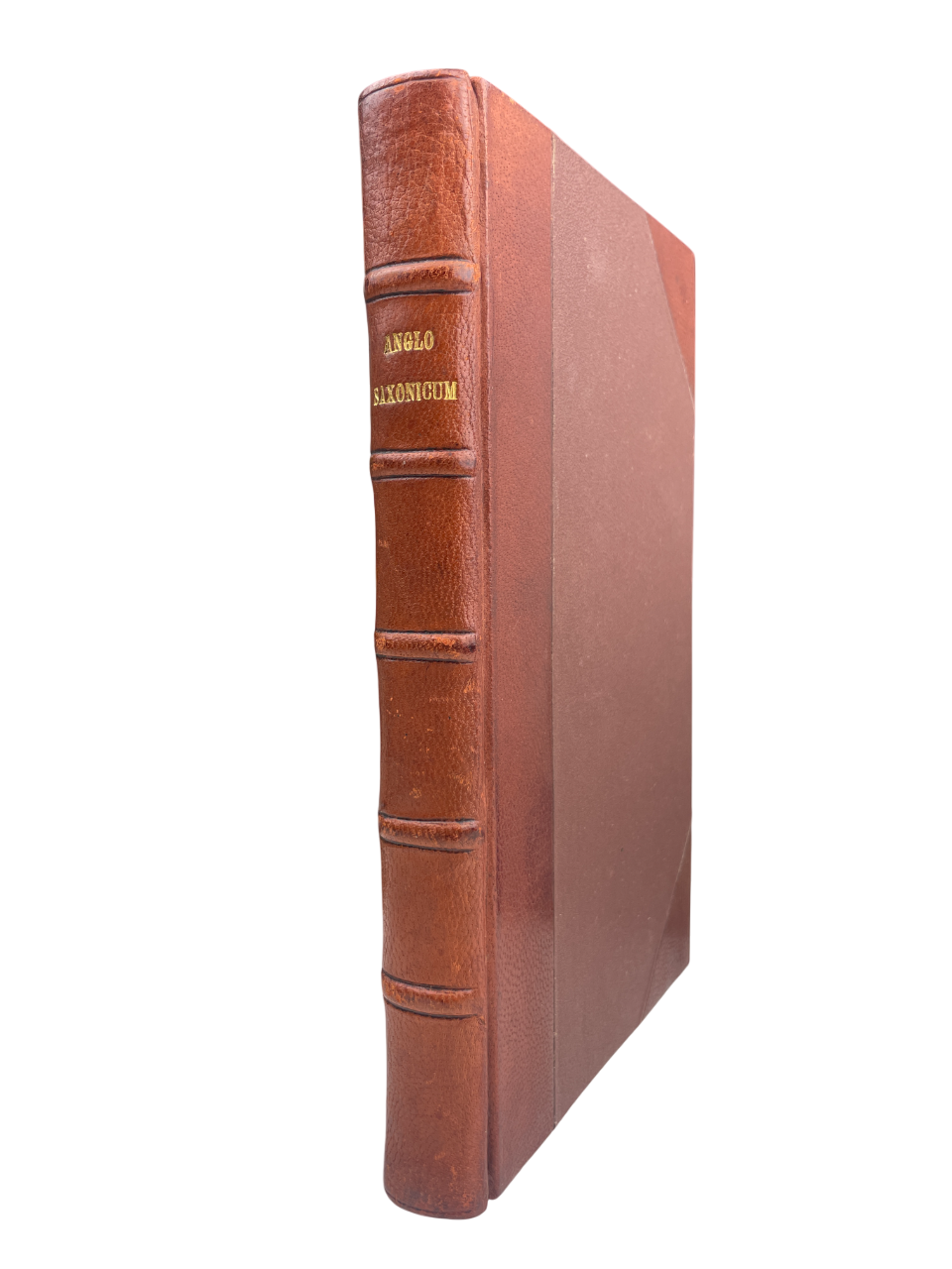 First edition 1701 Thomas Benson Vocabularium Anglo-Saxonicum Oxford Sheldonian Theater Old English dictionary Anglo-Saxon lexicon Edward Thwaites Somner 1659 Dictionarium Saxonico-Latino-Anglicum early modern philology abridged Latin glosses rare first edition Old English studies Anglo-Saxon scholarship historical linguistics medieval English language lexicography collectible academic reference rare antique book 18th-century language study Anglo-Saxon dictionary Oxford University